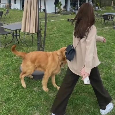 拇指版星球大战